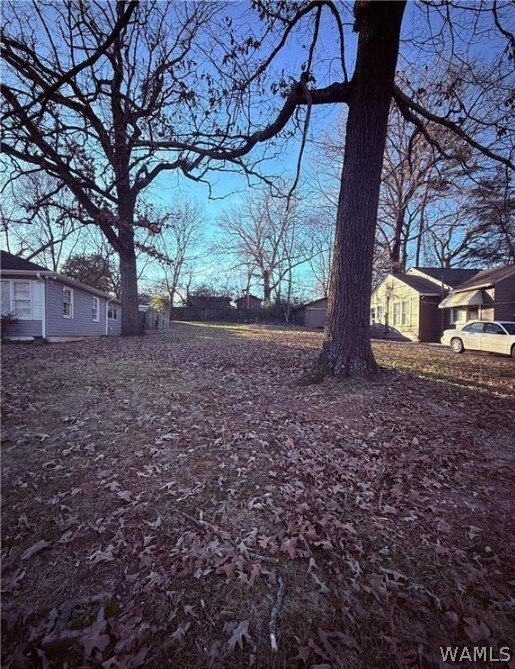 Picture 2