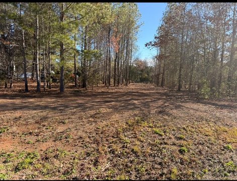 Residential Land in Macon, GA
