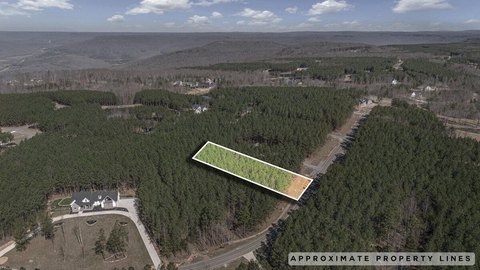 Jasper, TN Wooded Lot