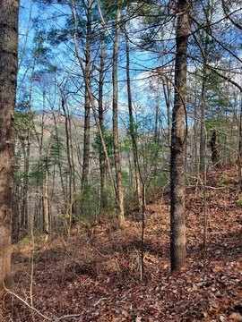 Unrestricted Land Near Murphy, NC