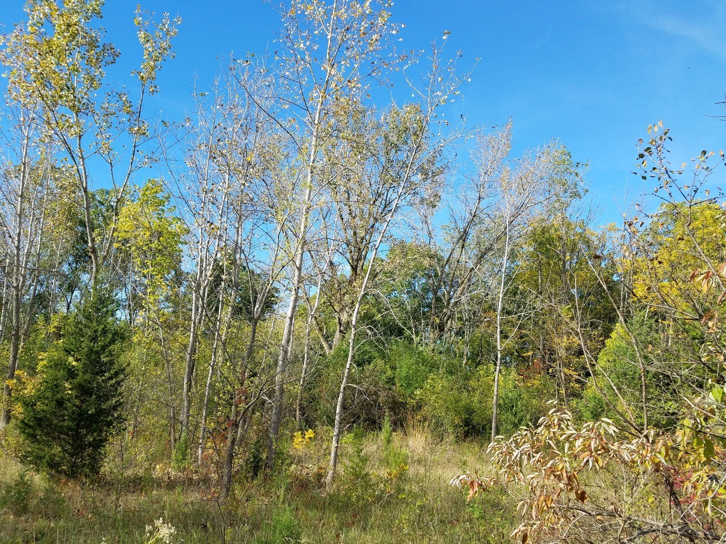 Lockport, IL Commercial Land