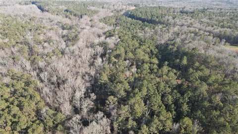 Spacious Lots in Auburn, AL