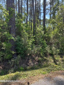 LAND - Pass Christian, MS