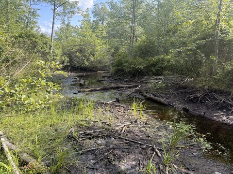 Land, Alton, ME