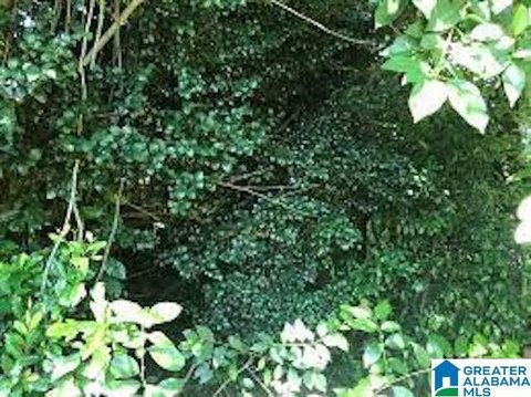 Vacant Land in Birmingham, AL