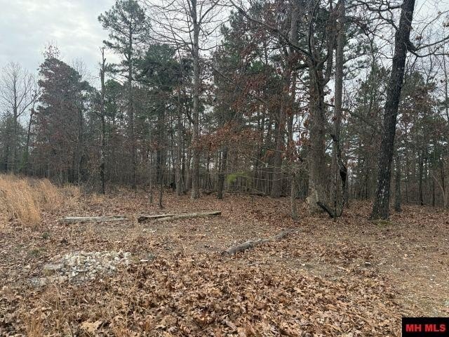 Picture 13