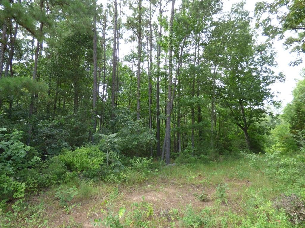 Picture 3