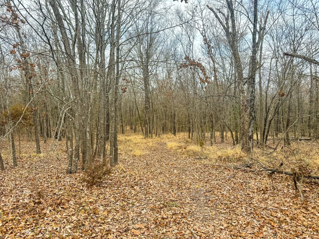 Picture 20
