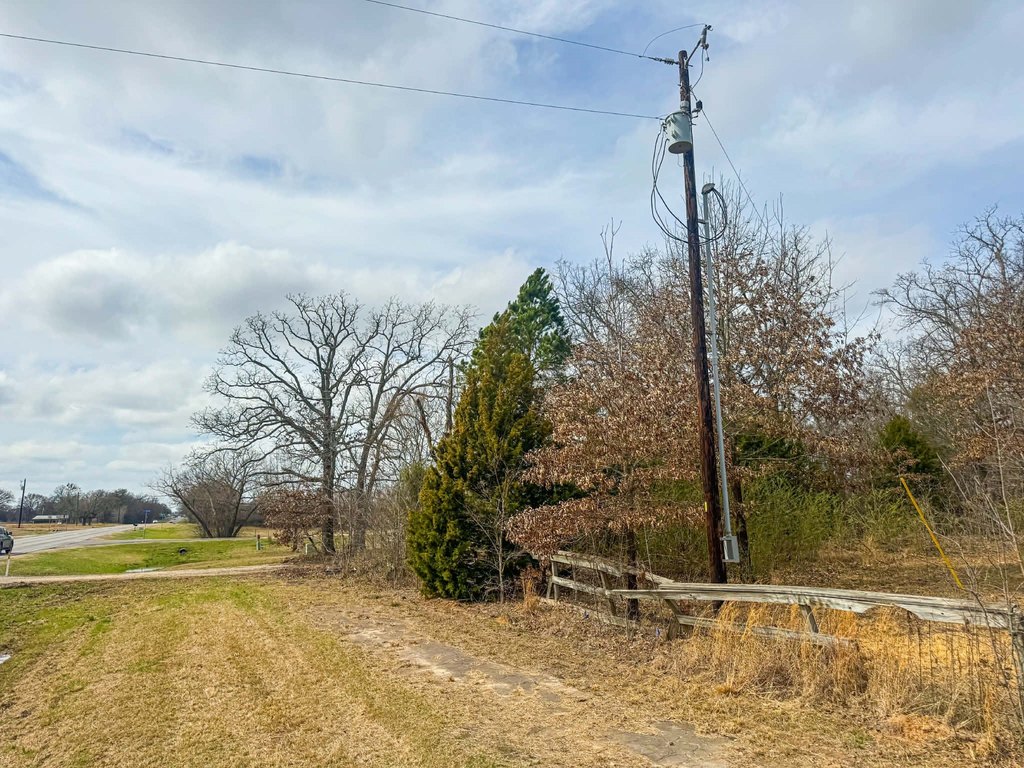 Picture 25