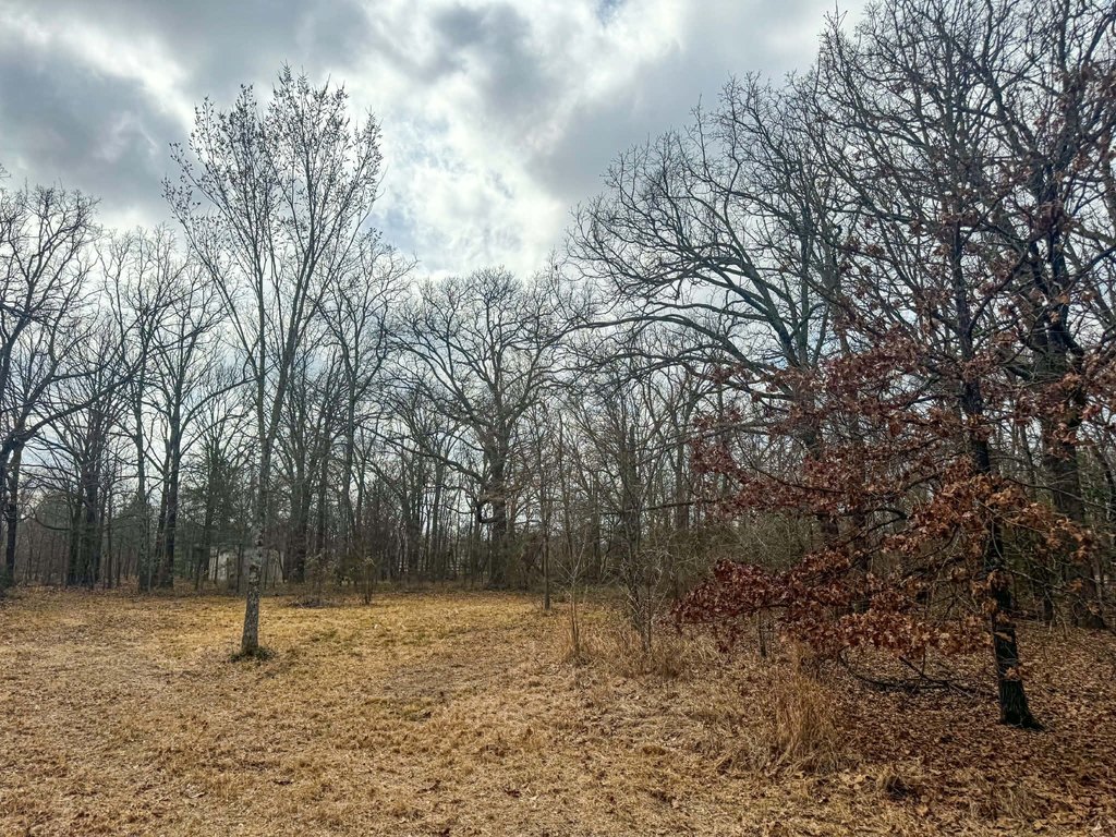 Picture 18