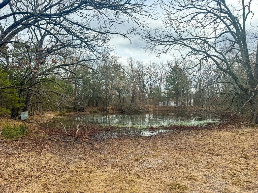 Picture 16