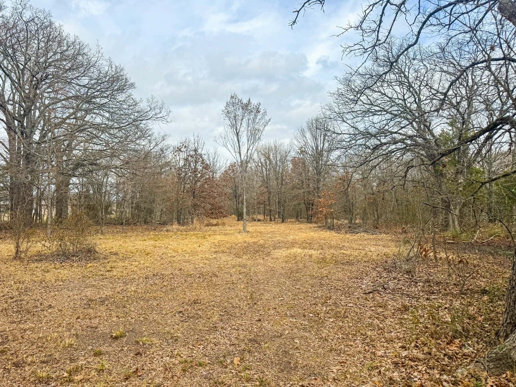 Picture 23