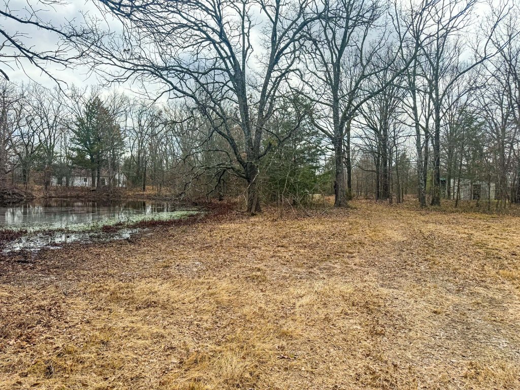 Picture 19