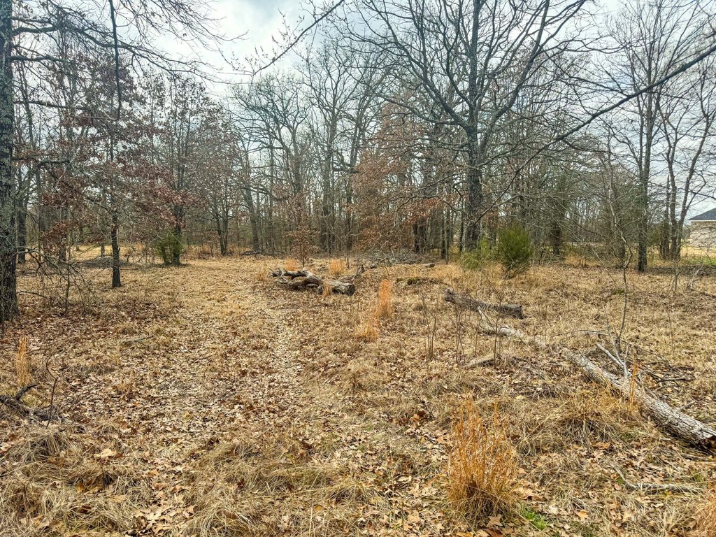 Picture 21