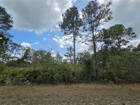 Acre Land in Gated Community