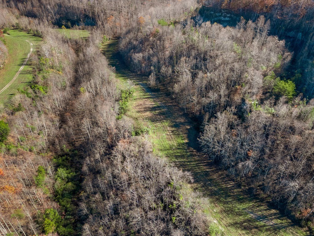 Picture 25