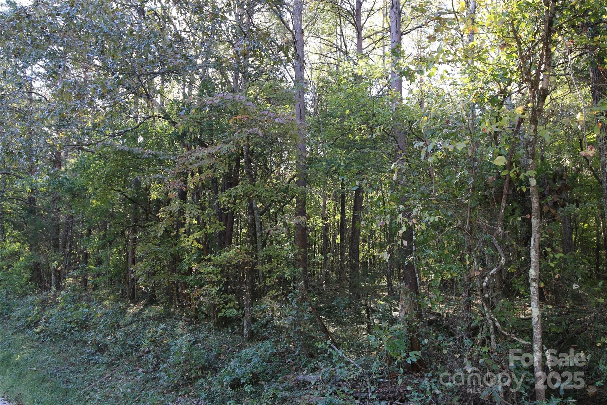 Rockwell, NC Undeveloped Land Parcel