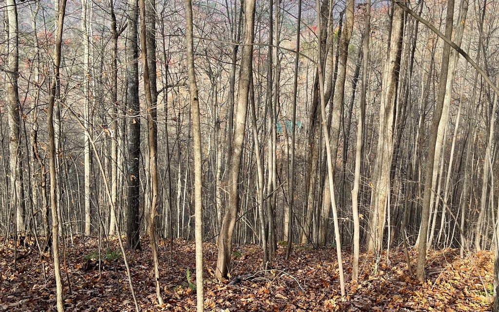 Picture 14