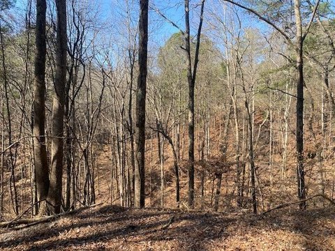 Residential Land in Talking Rock