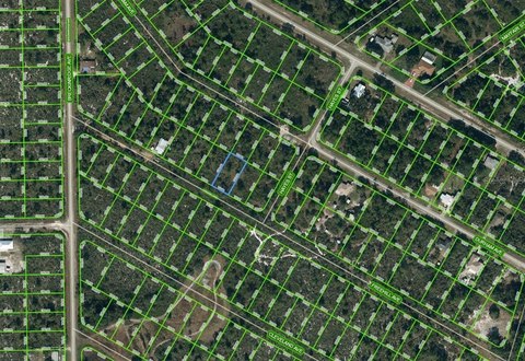 Residential Land in Lake Placid