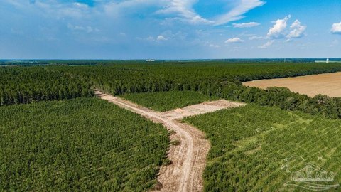 Land, Milton, FL