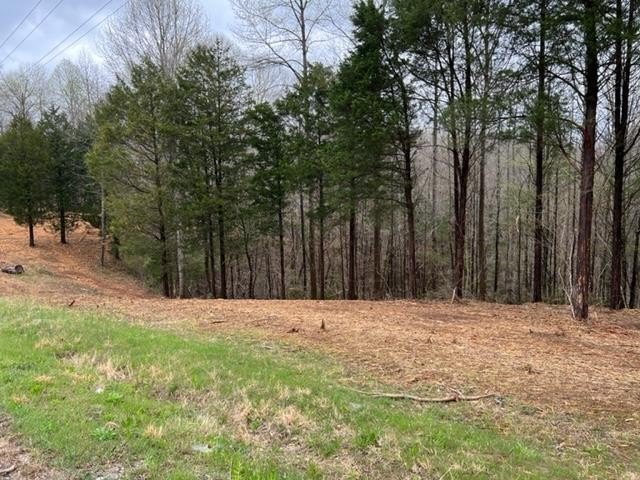 Allons, TN Land For Sale