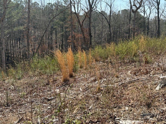 Picture 3