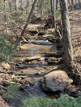 Waterfront Creekside Lot