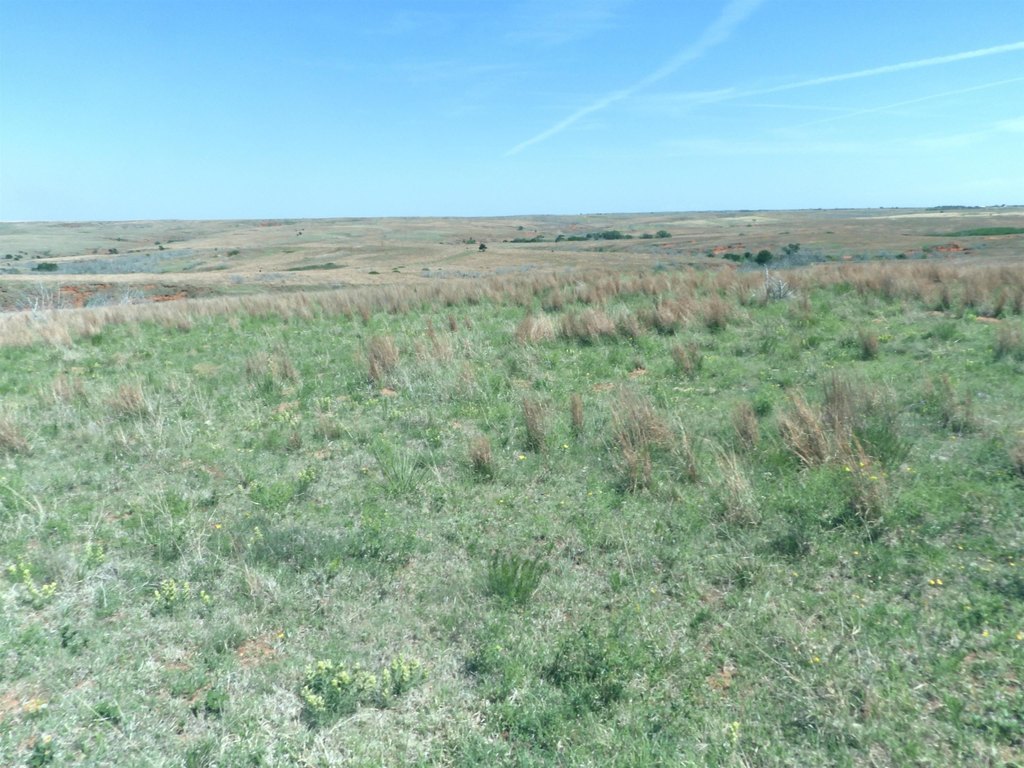 Picture 45
