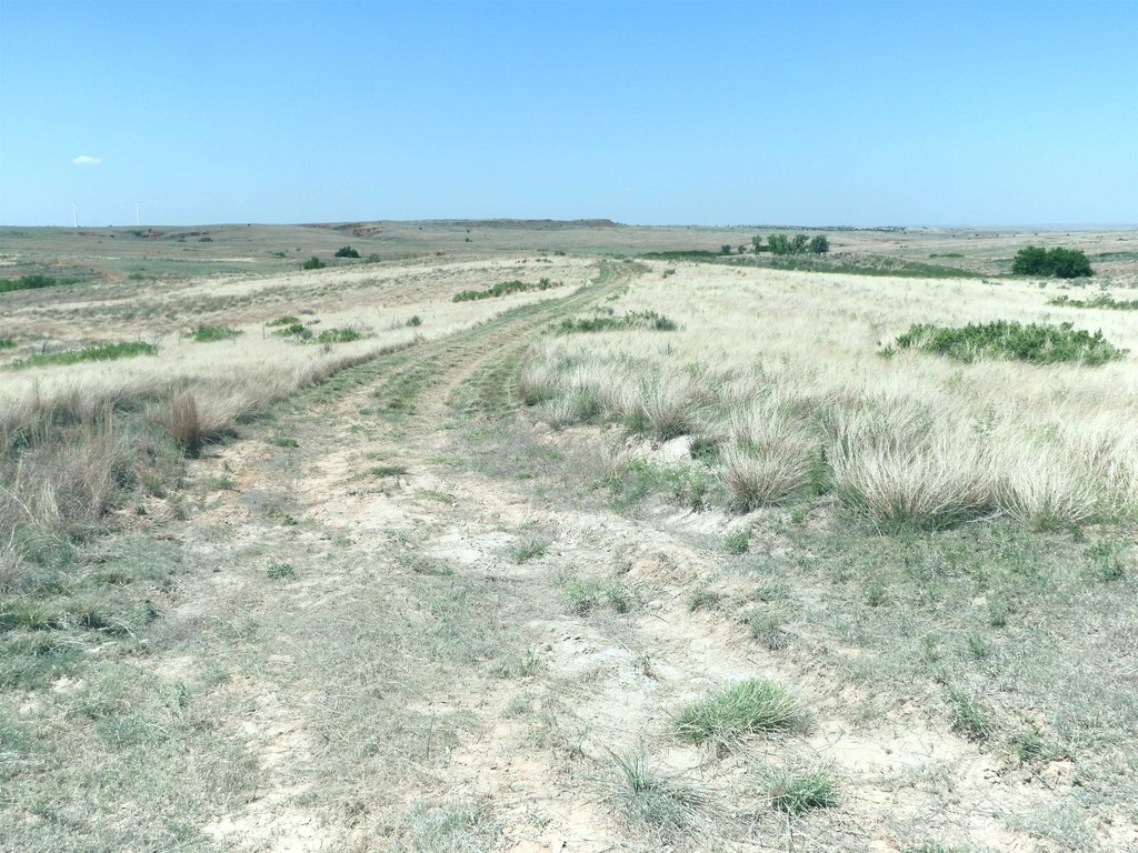 Picture 32