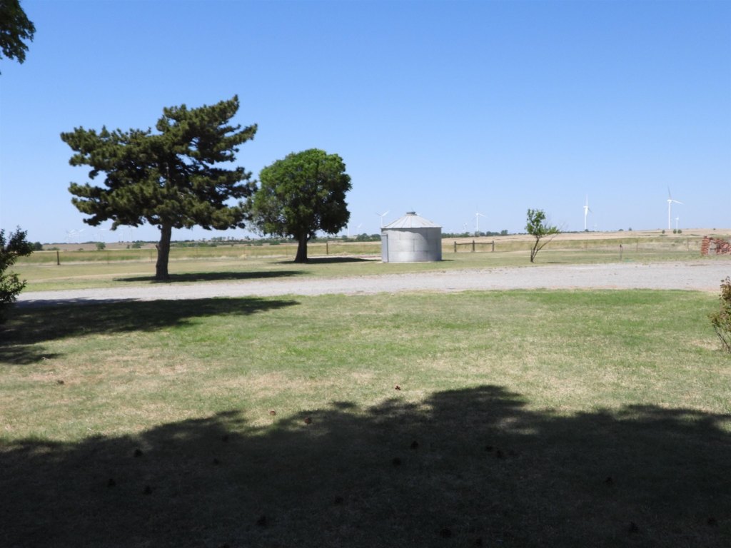 Picture 9
