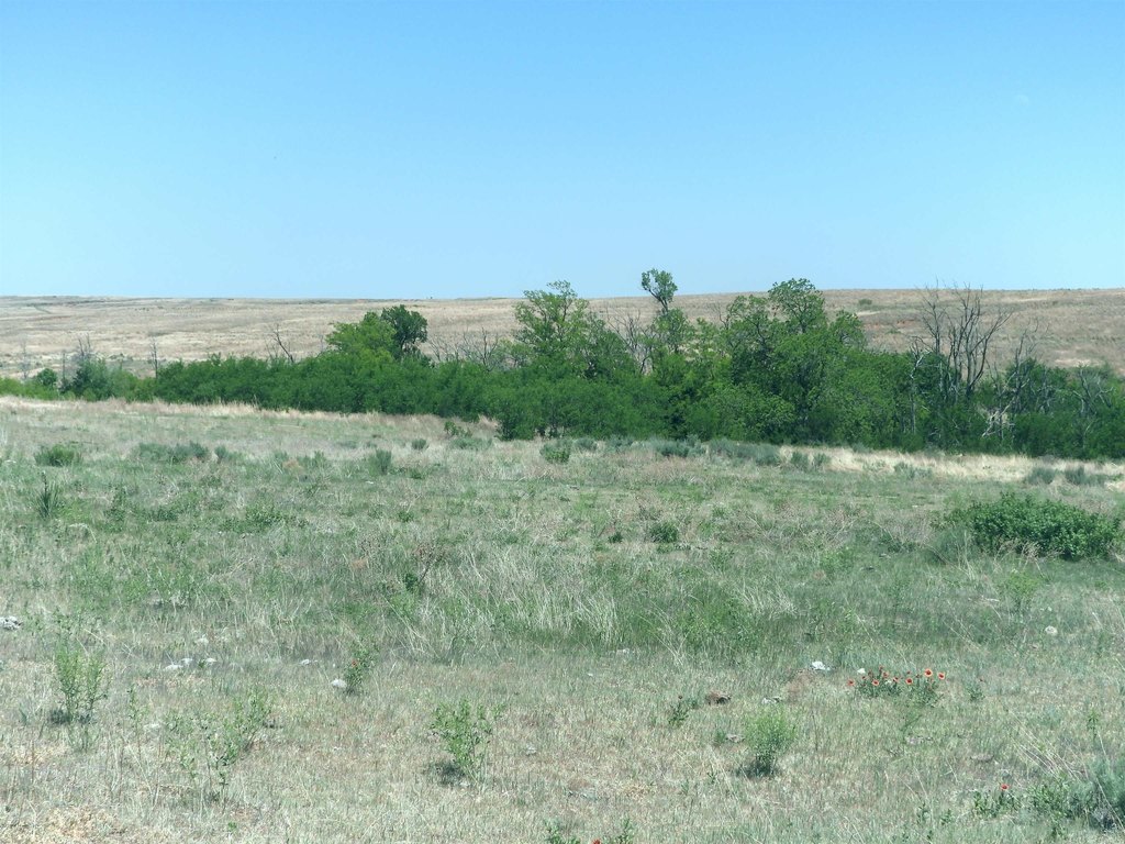 Picture 27