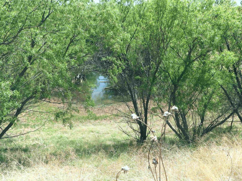 Picture 43