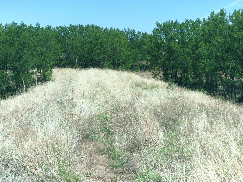 Picture 39