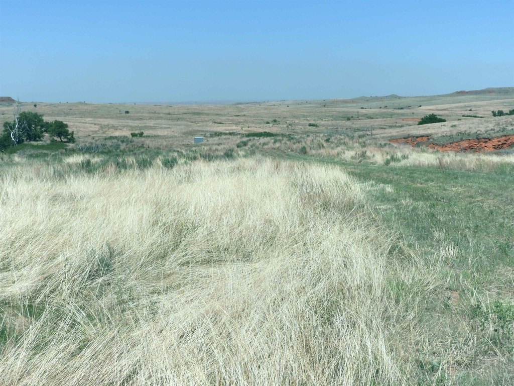 Picture 26
