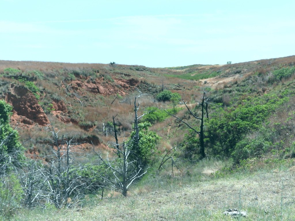 Picture 37