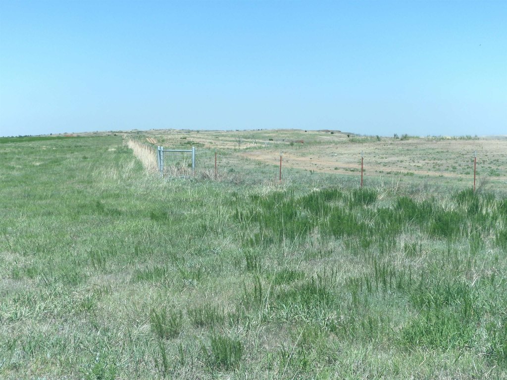 Picture 24