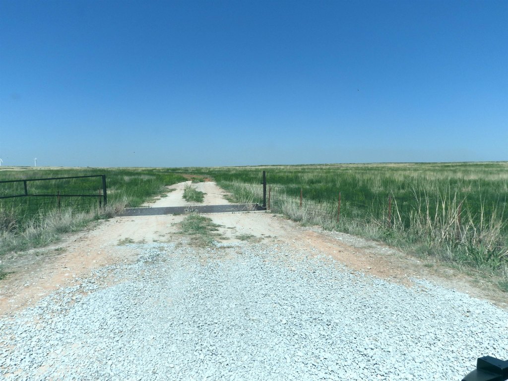 Picture 22