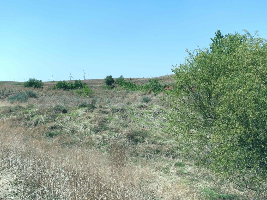 Picture 42