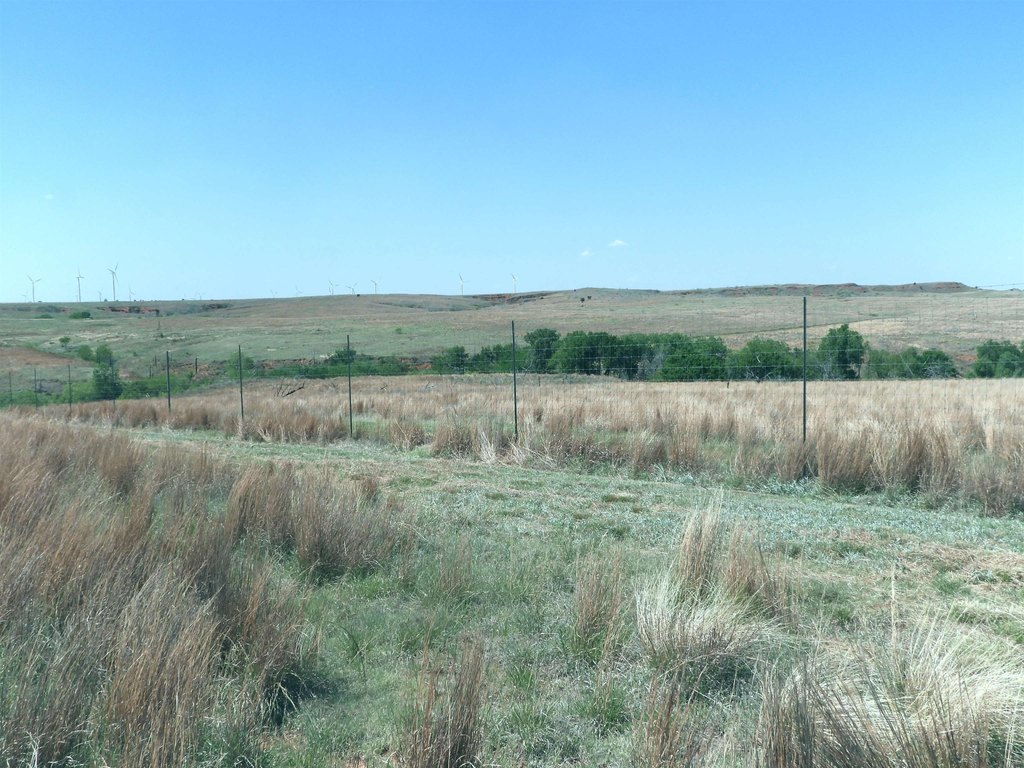 Picture 33