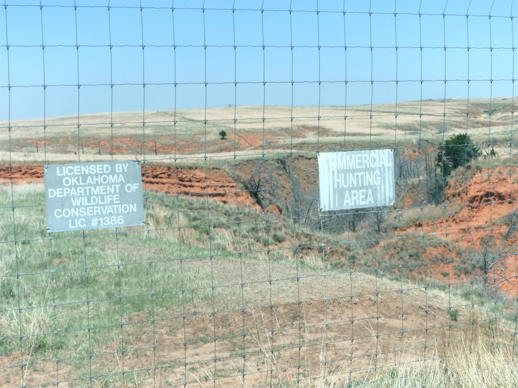 Picture 36