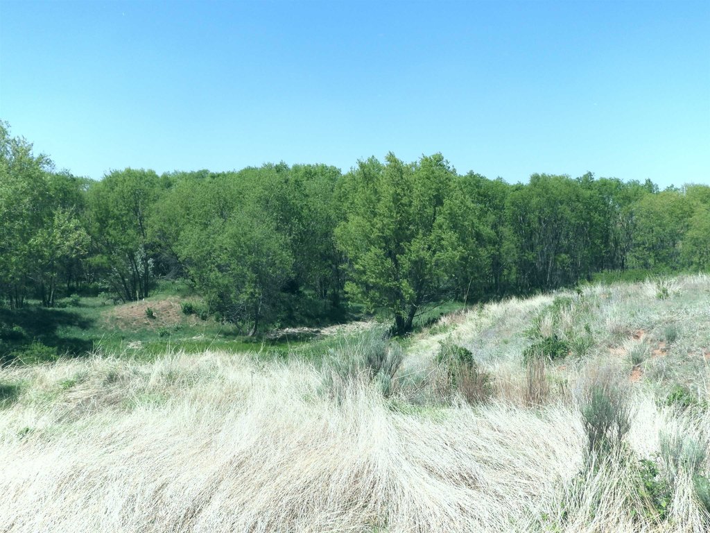 Picture 30