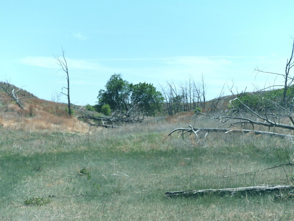 Picture 35