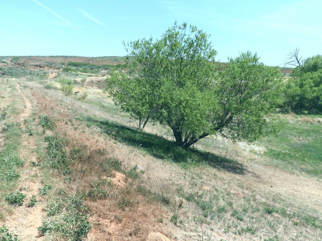 Picture 29
