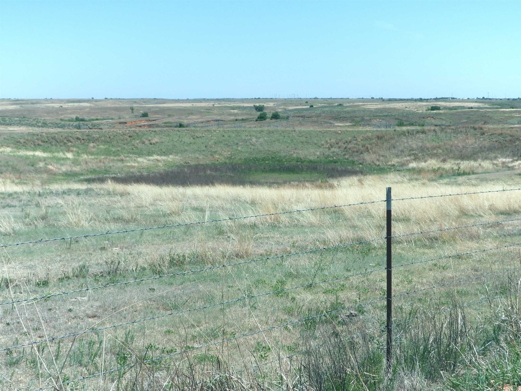 Picture 25