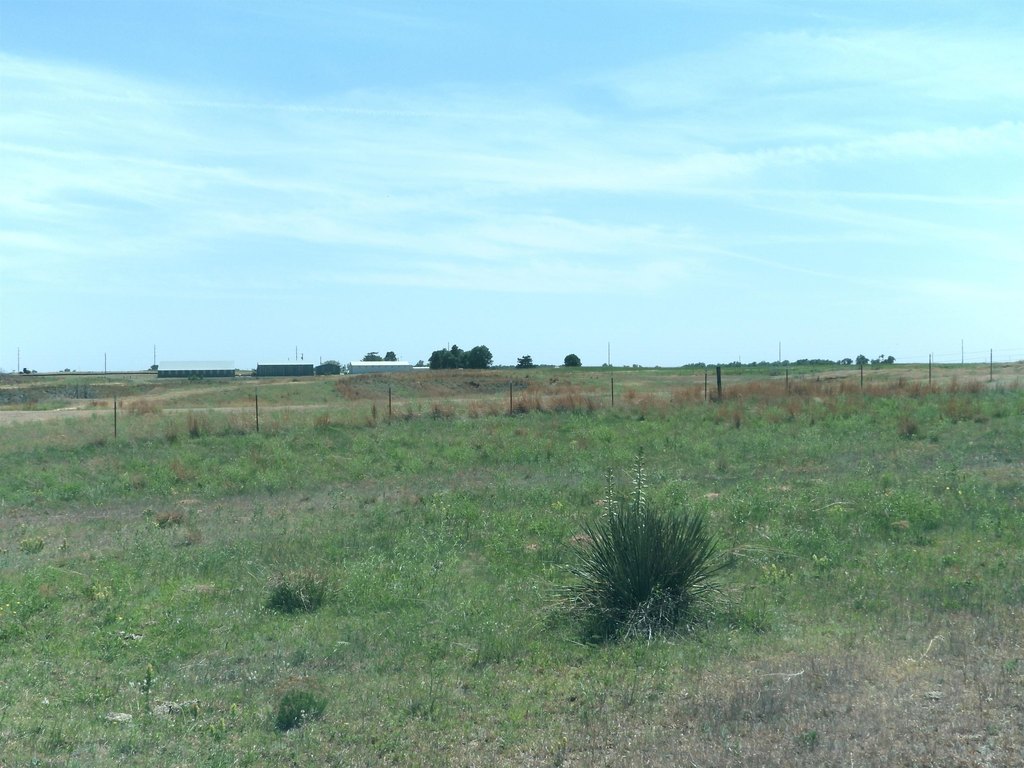 Picture 44