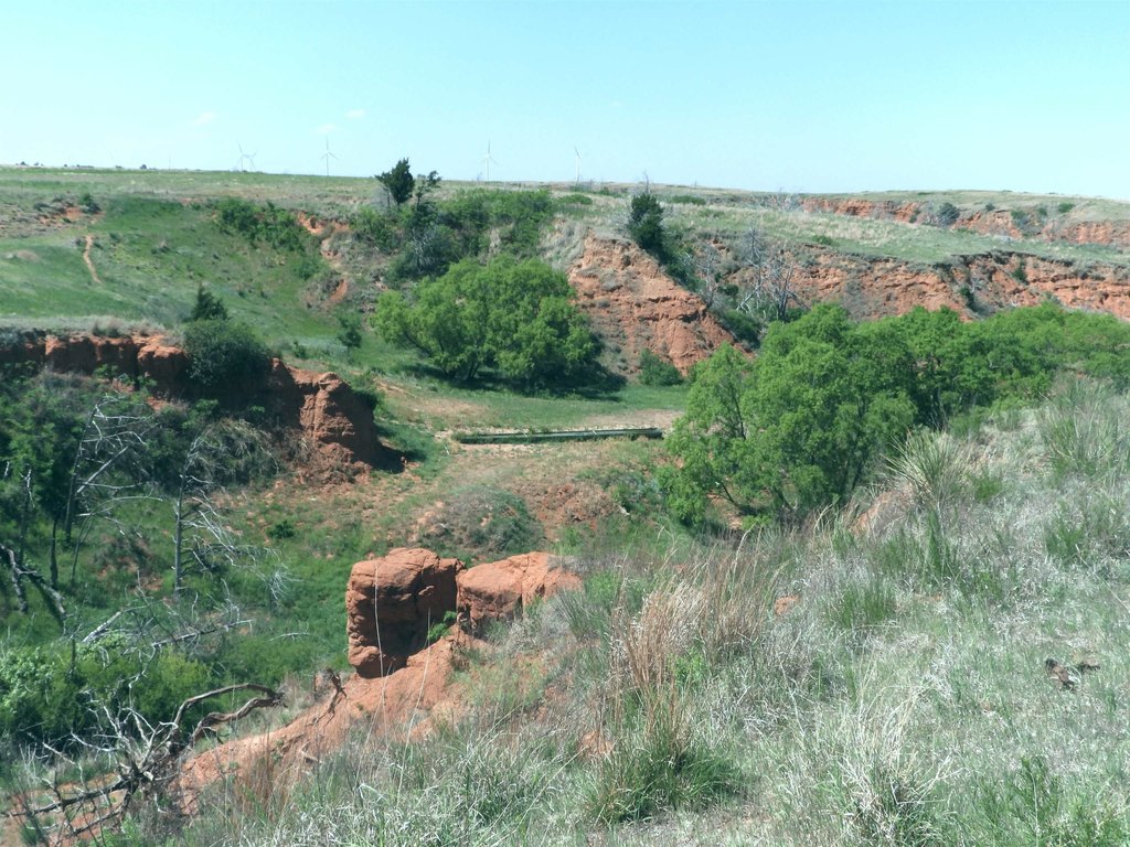 Picture 46