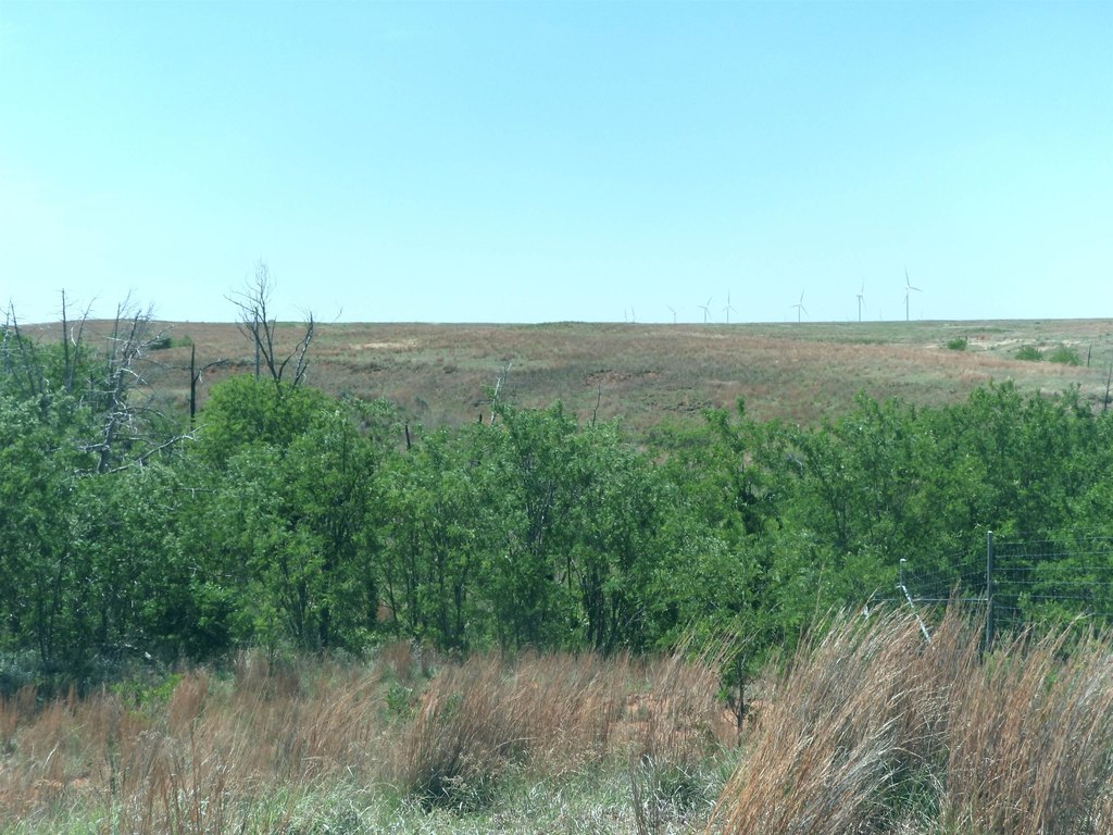 Picture 34