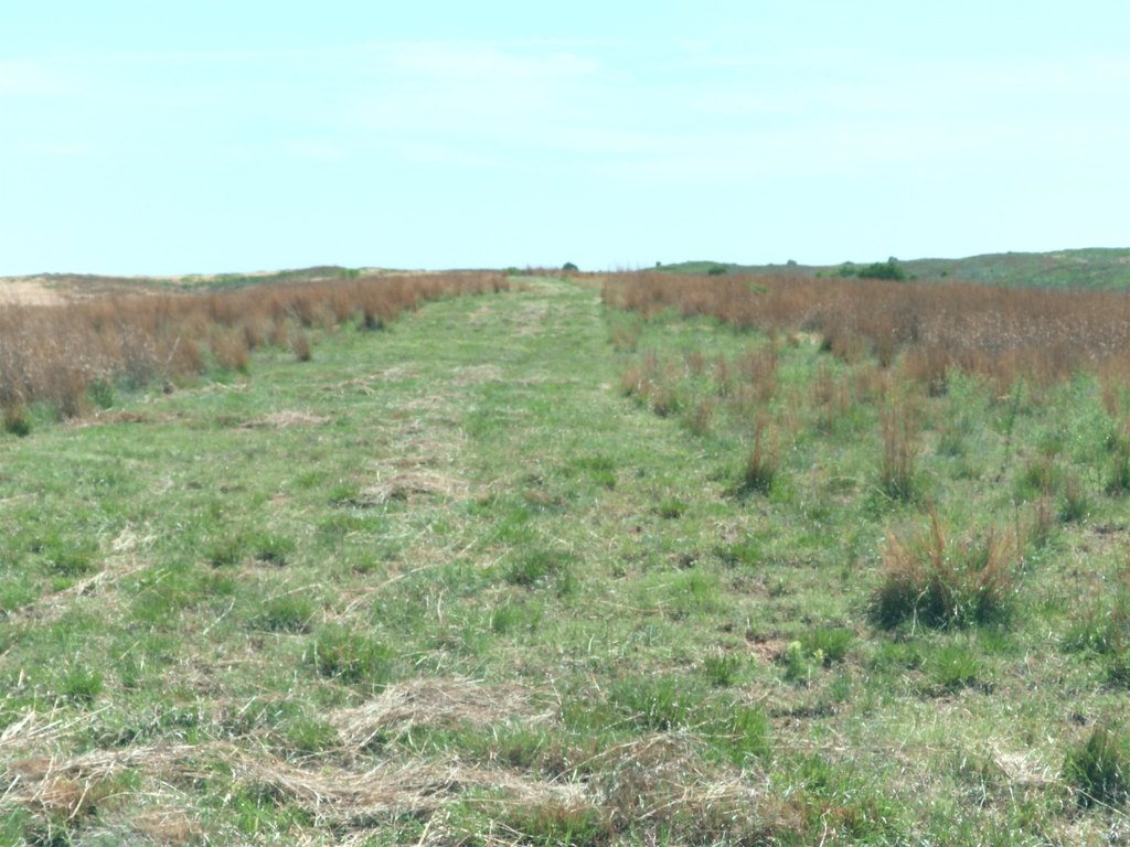 Picture 38