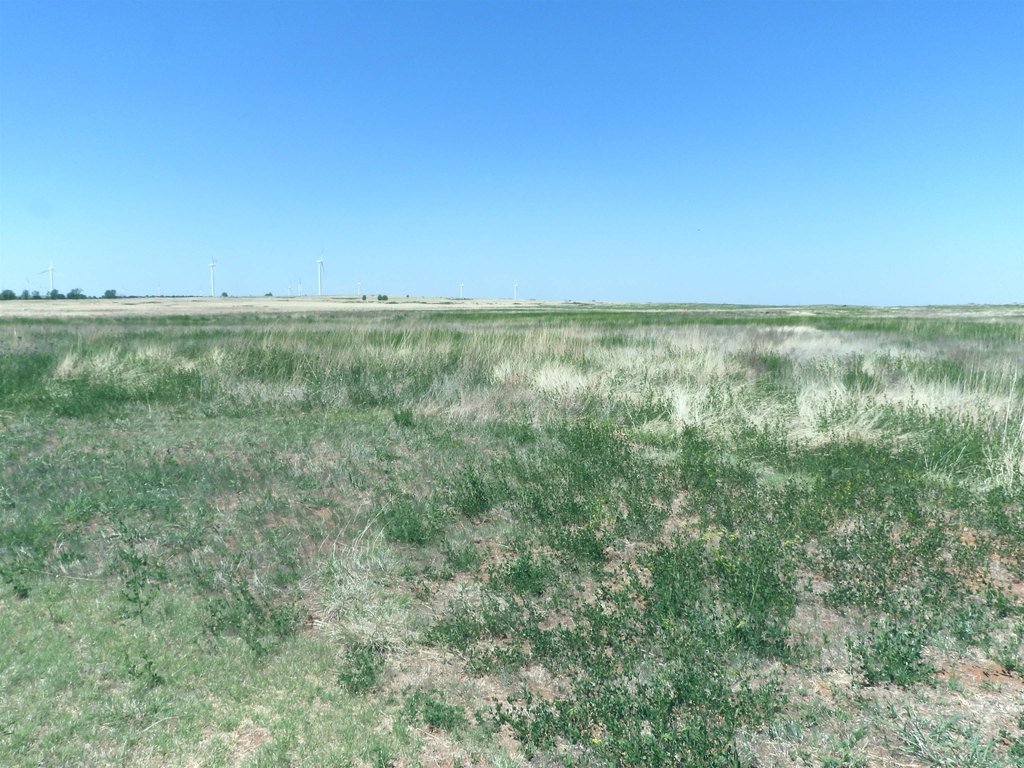 Picture 23